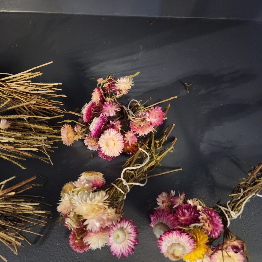 6 Little Real Dried Pod And Flower Bouquets. - Picture 7 of 9